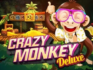 Crazy Monkey Deluxe screenshot